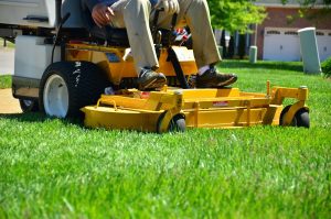 mowing
