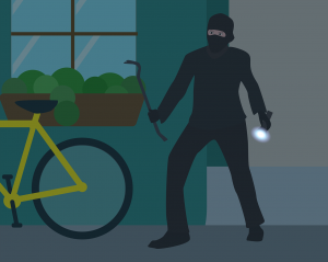 Vandalism and theft