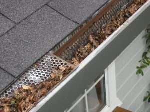 debris in gutter