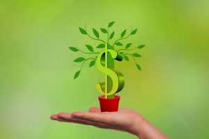 money tree