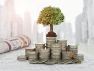 investing